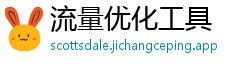 流量优化工具